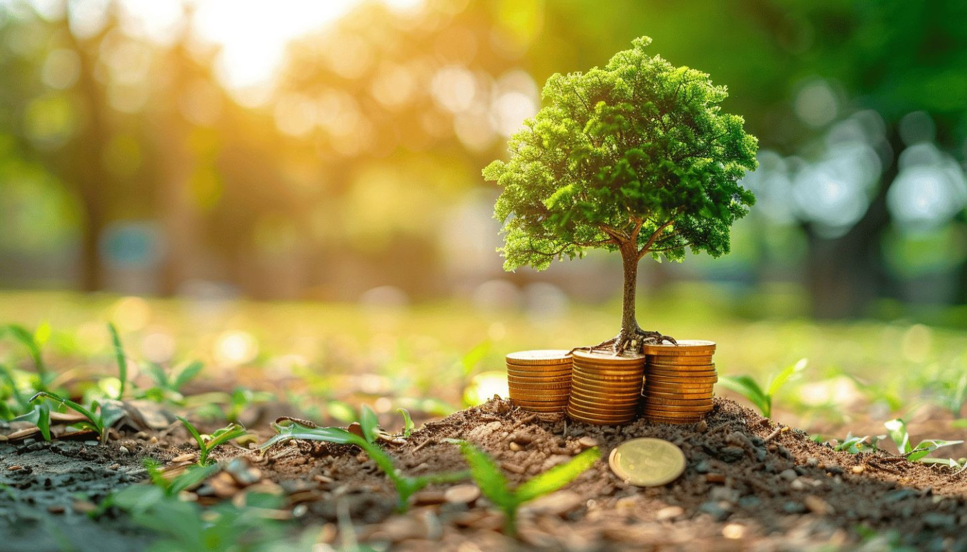 Finance verte, le nouvel eldorado économique?